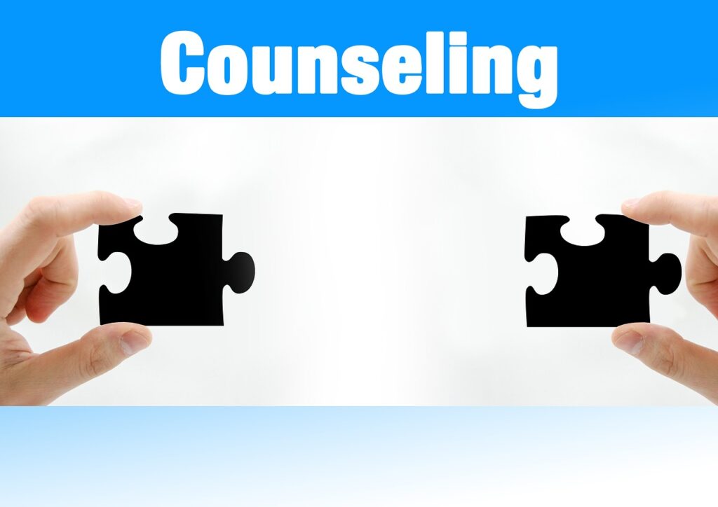puzzle, consulting, hand-541428.jpg